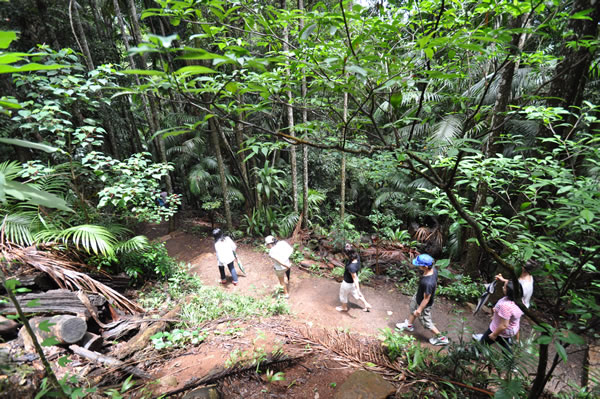Join Southern Cross 4WD on a Rainforest Night Walk