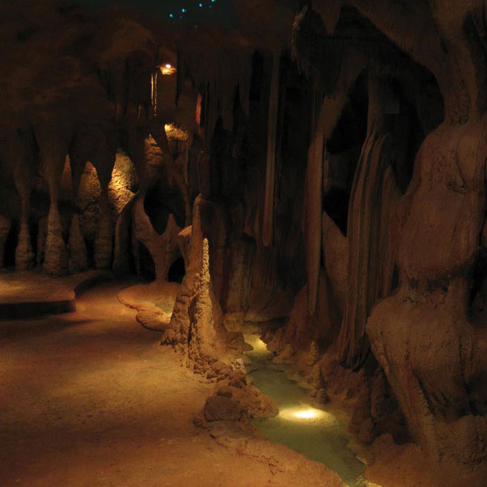 Glow Worm Caves on Mount Tamborine