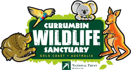 theme-park-currumbin-wildlife-sanctuary