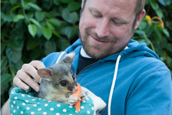 guest with reba the brushtail possum