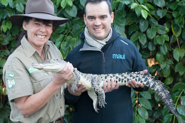 australian bush buddies crocodile