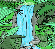 rainforest waterfall trail