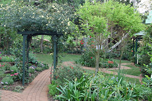 Gate and paths in the Botanic Gardens Tamborine Mountain