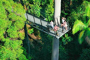 People up high on the Tamborine Rainforest Skywalk - Cantilever from Heli