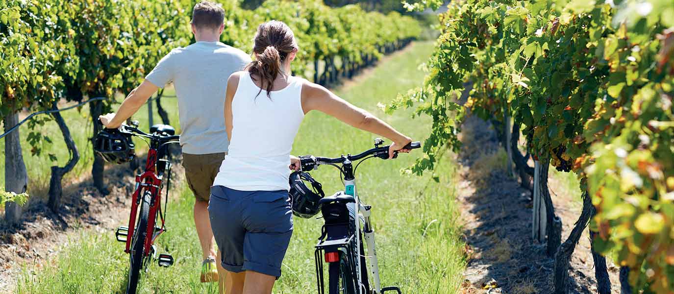 Man and woman with bicycles exploring Tamborine Mountain vineyard