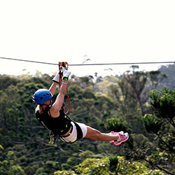 Girl Enjoying the Canyon Flyer Zipline on Tamborine Mountain